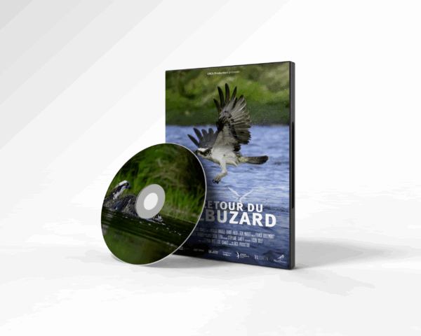 DVD - Le retour du Balbuzard