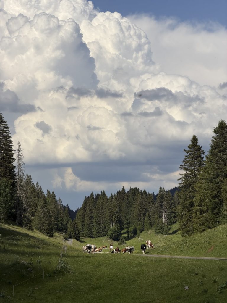 La Part des Loups – image du film