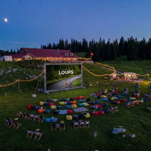 Projection open-air du film au pré de Bière (image de synthèse)